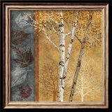Birch Tree in Autumn I