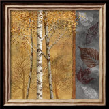 Birch Tree in Autumn II