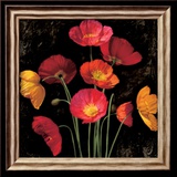 Poppy Bouquet I