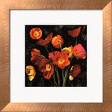Poppy Bouquet II