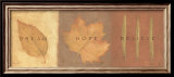 Dream Hope Believe