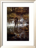 That Elusive Trout