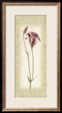 Blossom I  Lisianthus