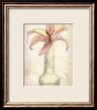 Lovely Lily