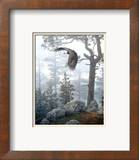 Shrouded Forest