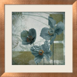 Cerulean Poppies II