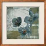 Cerulean Poppies II