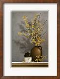 Forsythia