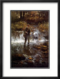 That Elusive Trout