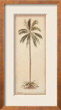 Palm Tree I
