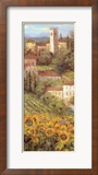 Provencal Village IV