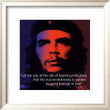 Che Guevara: Revolutionary