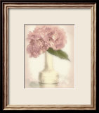 Lovely Hydrangea