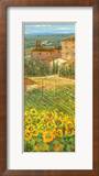 Provencal Village III