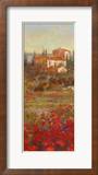 Provencal Village V