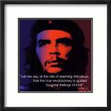 Che Guevara: Revolutionary