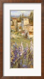 Provencal Village II