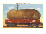 Giant Potato on Rail Car  Maine