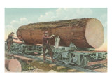 Lumberjacks with Log on Flatbed