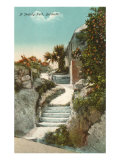 Sketchy Path  Bermuda