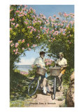 Bicyclists with Oleanders  Bermuda