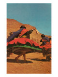 Folk Dancing in Bolivia