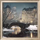 Twilight in Central Park