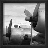 Vintage Flight I