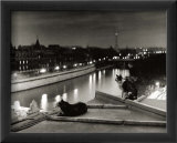 Paris  Cats at Night