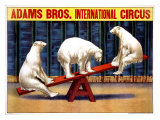 Adams Brothers Circus