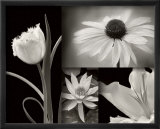 Summer Garden I
