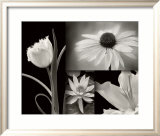 Summer Garden I
