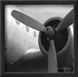Vintage Flight III