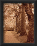 Autumn Stroll I