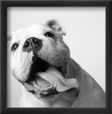 Luca