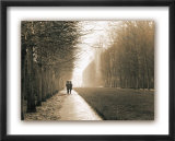 Park at Versailles