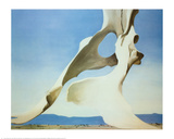 Pelvis with the Distance