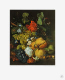 Fruits  Flowers and Insects