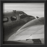 Vintage Flight II