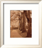 Autumn Stroll I