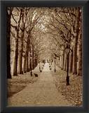 Autumn Stroll II