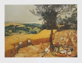 Summer  The Harvesters