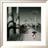 Allee des Baobabs II