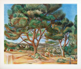 The Stone Pine
