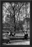 Quai d'Orlean Face a Notre Dame  c1970