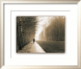 Park at Versailles