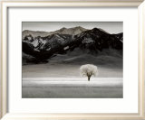 Solitary Tree