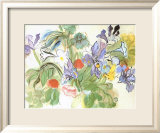 Poppies and Iris