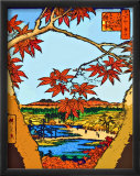 Red Leaves at Mama