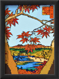 Red Leaves at Mama